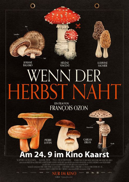 Kino Kaarst: Wenn der Herbst naht
