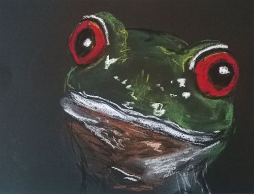 Tierisch bunt – Verborgene Tiere im Wald (9-14 Jahre)