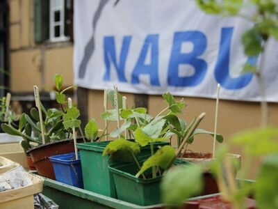 Pflanzen- und Saatgutbörse  des NABU Kaarst-Korschenbroich