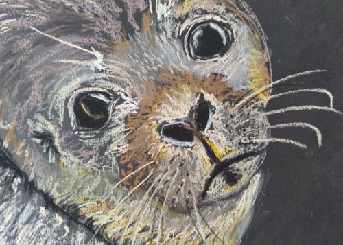 Tierisch bunt - Bedrohte Tiere im Eis (9-14 Jahre)