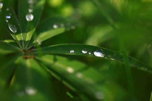 Workshop: "Natur - von Makro bis Landschaft"