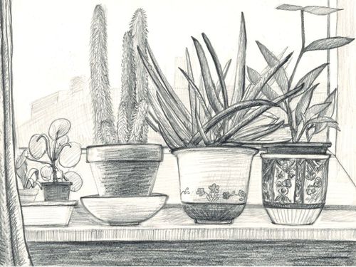 Die Lust am eigenen Stil – die Grundlagen der Klassischen Zeichnung