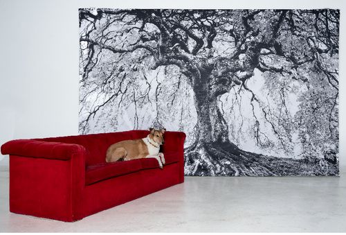 Ins Museum oder auf den Müll: Wohin mit all den Bildern?