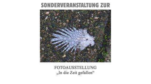 Zu Gast bei Bob Dylan