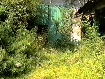 Tag des offenen Denkmals auf dem Tuppenhof