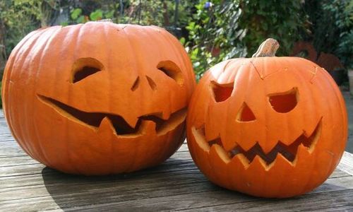 AUSGEBUCHT!!! Rund um den Kürbis