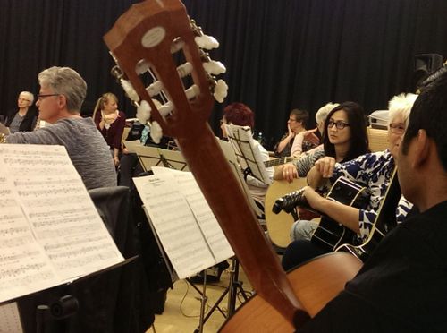 Gitarre Grundkurs (für Teilnehmende mit geringen Vorkenntnissen)