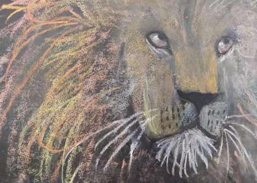 Tierisch bunt - Abenteuer Wildnis (9-14 Jahre)